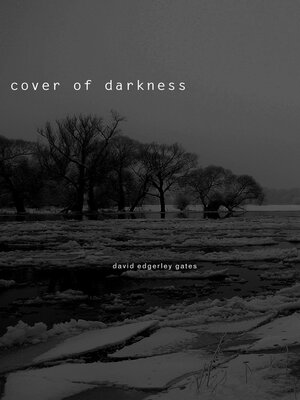 cover image of Cover of Darkness